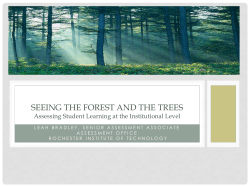 Seeing the Forest and the Trees