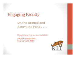 Engaging Faculty: On the Ground and Across the Pond