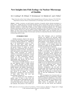 339_1.pdf
