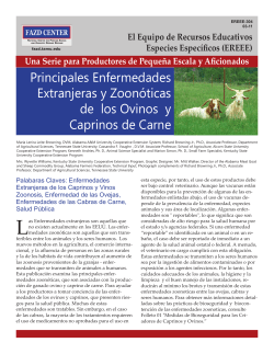 FAZD 304 - Principales Enfermedades Extranjeras y Zoon&oacute;ticas de los Ovinos y Caprinos de Carne