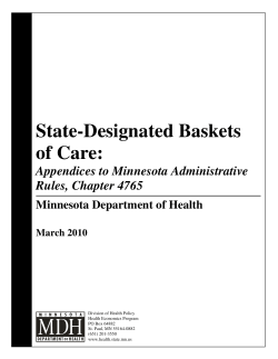 State-Designated Baskets of Care: Appendices to Minnesota Administrative Rules, Chapter 4765, March 2010 (PDF: 241KB/34 pages)