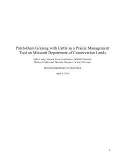 PBG_White_Paper_Underwood_Leahy_040810.pdf