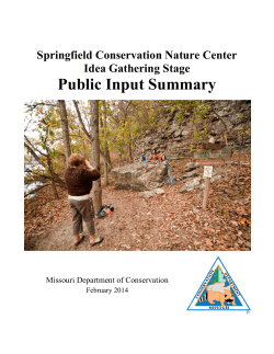 Springfield CNC Public Input Summary: Idea Gathering Stage