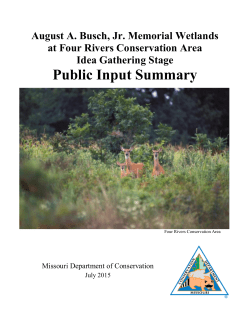 Four Rivers Public Input Summary: Idea Gathering Stage