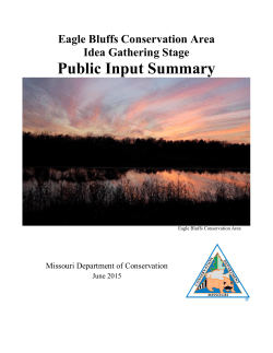 Eagle Bluffs Public Input Summary: Idea Gathering Stage