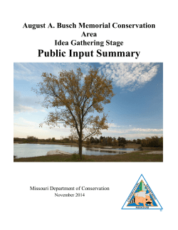 August A Busch CA Public Input Summary: Idea Gathering Stage