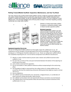 Mobile Scaffold Inspection Use