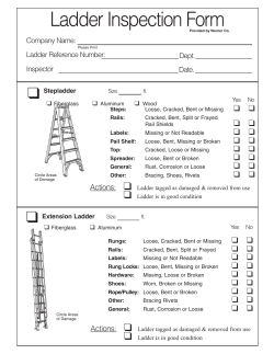 Ladder Inspection Form
