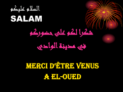 Synth&egrave;se de l'&eacute;cole par S. Djebali