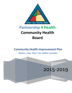 Partnership4Health CHIP 2015-2019 (PDF)