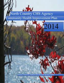 North Country CHIP 2014 (PDF)