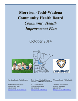 Morrison-Todd-Wadena CHIP (PDF)