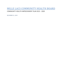 Mille Lacs CHIP 2015-2020 (PDF)