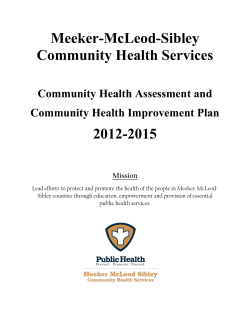 Meeker-McLeod-Sibley CHIP 2012-2015 (PDF)