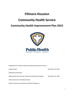 Fillmore-Houston CHIP 2015 (PDF)
