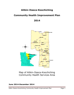 Aitkin-Itasca-Koochiching CHIP 2014 (PDF)