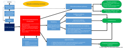 Flowchart: Proposed Minnesota IIMG system (PDF: 129KB/1 page)