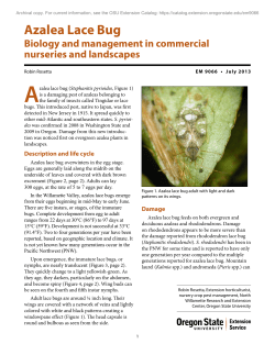 Azalea Lace Bug Biology and management in commercial nurseries and landscapes