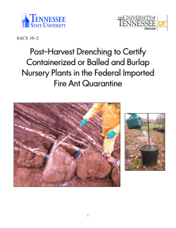 Imported Fire Ants - Post Harvest Drench Treatments for B B and Containers