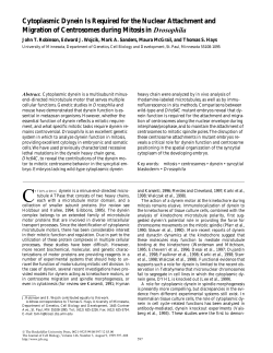 J. Cell Biol. 146(3): 597-608.