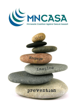 Facts Playing Cards (MNCASA)