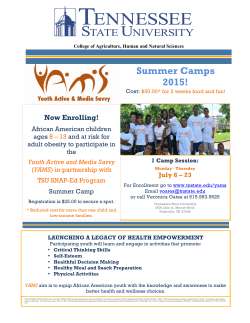 Camp Flyer