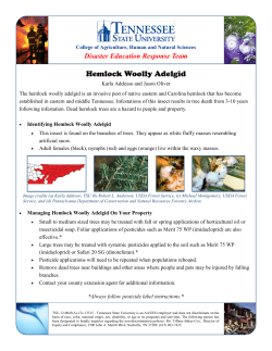 Hemlock Woolly Adelgid - A new invasive insect in Tennessee