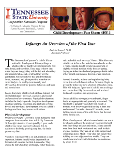 Infancy - The First Year