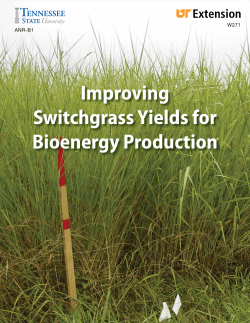 Improving Switchgrass Yields Fact Sheet