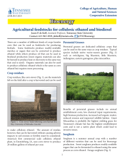 Agricultural Feedstocks for Cellulosic Ethanol and Biodiesel
