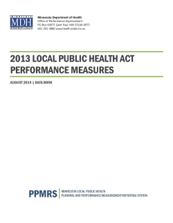 2013 Local Public Health Act Performance Measures (PDF)