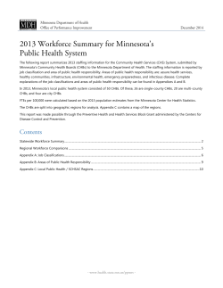 2013 Workforce Summary for Minnesota's Public Health System (PDF)