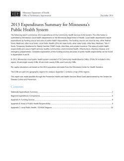 2013 Expenditures Summary for Minnesota's Public Health System (PDF)