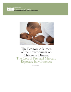 The cost of prenatal mercury exposure (pdf)