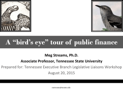 A bird's eye view of public finance