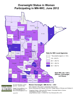 Overweight Status in Women Participating in MN WIC, June 2012 (PDF)