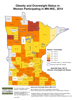 Obesity and Overweight Status in Women Participating in MN WIC, Calendar Year 2014 (PDF)