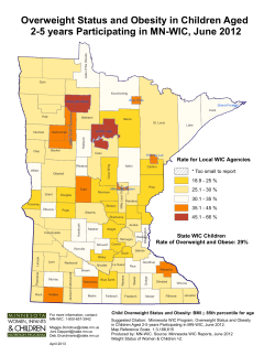 Overweight Status and Obesity in Children Aged 2-5 Years Participating in MN WIC, June 2012 (PDF)