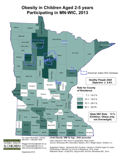 Obesity in Children Aged 2-5 Years Participating in MN WIC, 2013 (PDF)