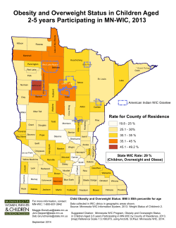 Obesity and Overweight Status in Children Aged 2-5 Years Participating in MN WIC, 2013 (PDF)