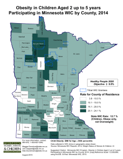 Obesity in Children Aged 2 up to 5 Years Participating in MN WIC, 2014 (PDF)