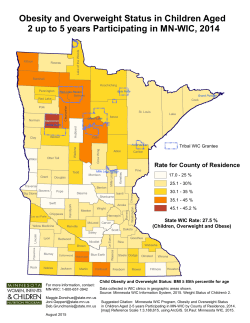 Obesity and Overweight Status in Children Aged 2 up to 5 Years Participating in MN WIC, 2014 (PDF)