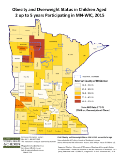 Obesity and Overweight Status in Children Aged 2 up to 5 Years Participating in MN WIC, 2015 (PDF)
