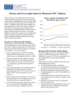 Obesity and Overweight Status in Minnesota WIC Children Fact Sheet, June 2010(PDF)