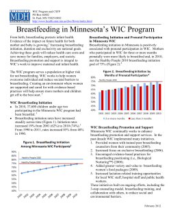 Breastfeeding in Minnesota's WIC Program, Fact Sheet, 2012 (PDF)
