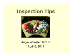 Inspection Tips (Record Menu Review, Compliance and Regulatory Action) - Angie Wheeler, MDH (PDF: 674KB/26 pages)