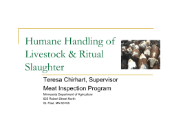 Presentation: Humane Treatment and Ritual Slaughter (PDF: 233KB/16 pages)