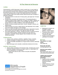 Maternal Wellbeing Plan (PDF)