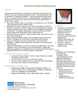 Maternal Wellbeing Plan (PDF)