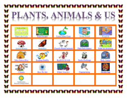 Plants, Animals Us